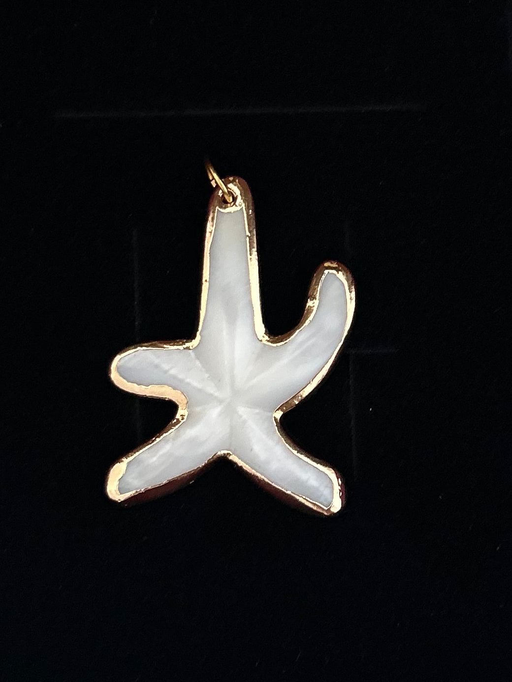 Natural Shell Starfish Gold Electroplated Charm