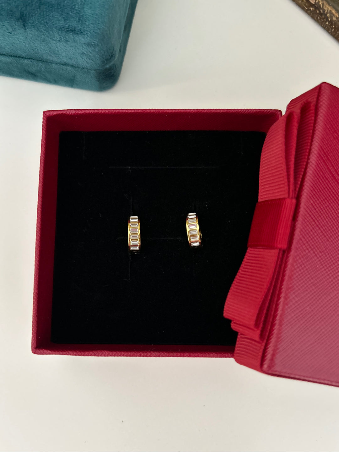 Everyday Wear CZ  Stainless Steel Hoop Earrings